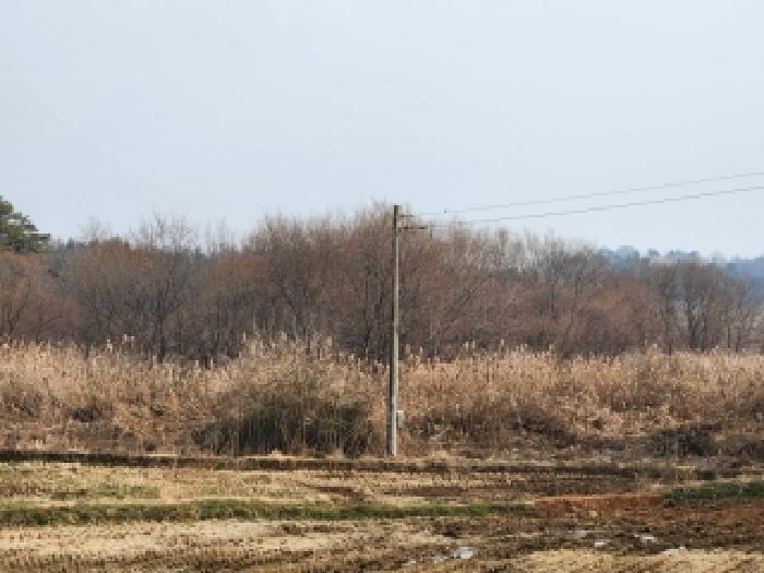전남 나주시 노안면 답 경매 물건 사진 2 · 2025타경7494