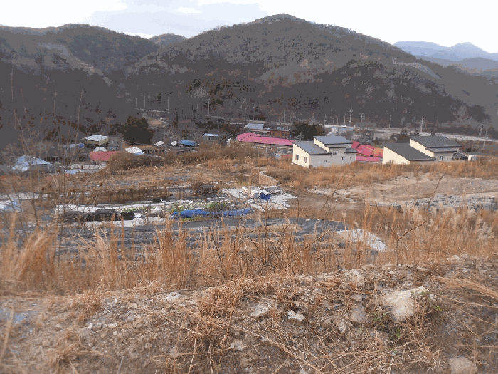 전라남도 화순군 동면 복암리 459-38 과수원 경매 물건 사진