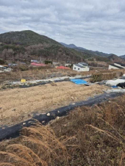 전남 화순군 동면 과수원 경매 물건 사진 2 · 2025타경7579