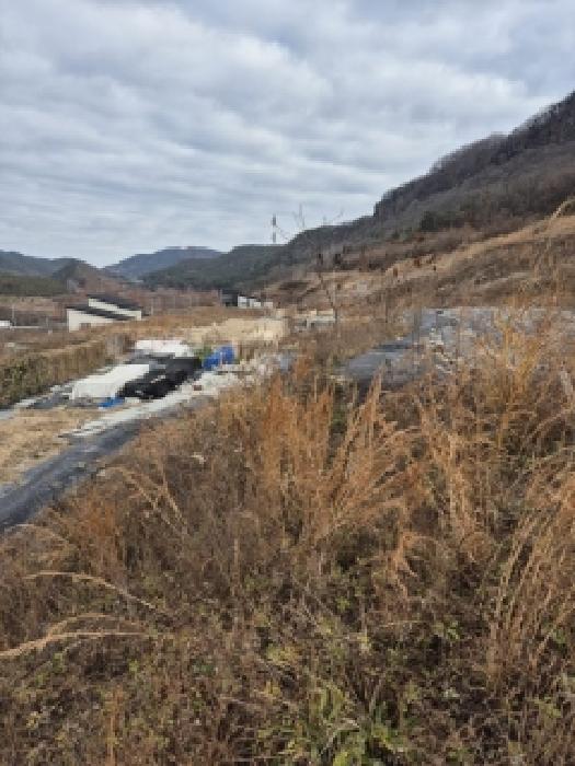 전남 화순군 동면 과수원 경매 물건 사진 3 · 2025타경7579