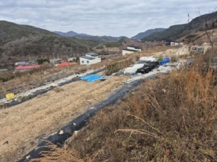 전남 화순군 동면 과수원 경매 물건 사진 4 · 2025타경7579
