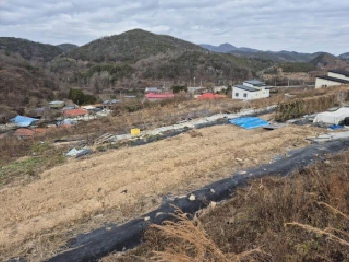 전남 화순군 동면 과수원 경매 물건 사진 5 · 2025타경7579