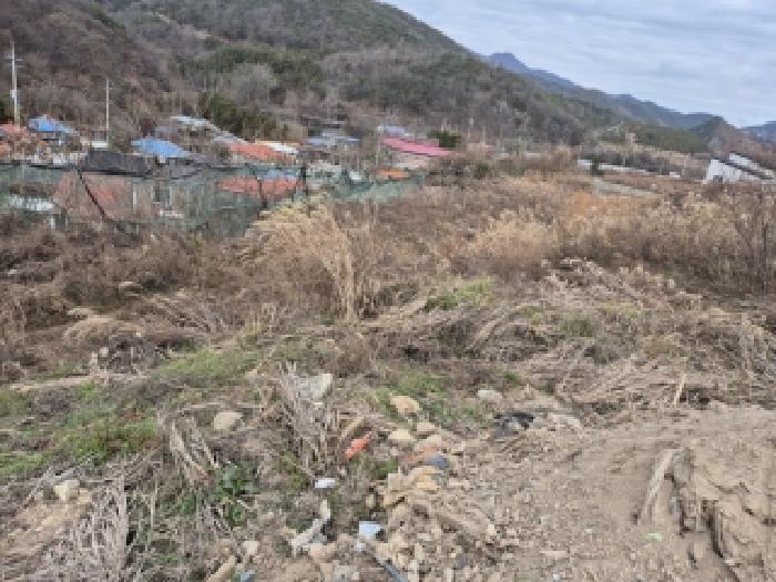 전남 화순군 동면 과수원 경매 물건 사진 6 · 2025타경7579