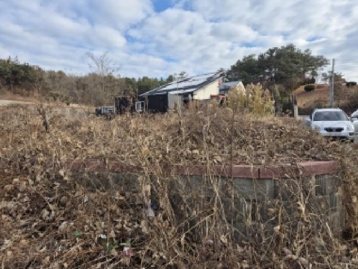 전남 화순군 도곡면 목장용지 경매 물건 사진