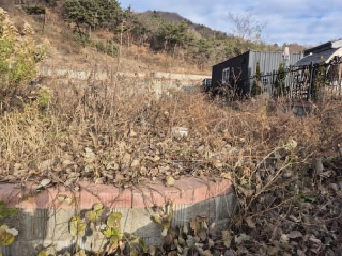 전남 화순군 도곡면 목장용지 경매 물건 사진 2 · 2025타경7586