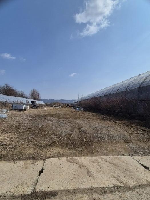 전남 화순군 도곡면 답 경매 물건 사진