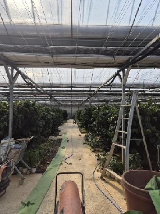 전남 화순군 도곡면 답 경매 물건 사진 6 · 2025타경769