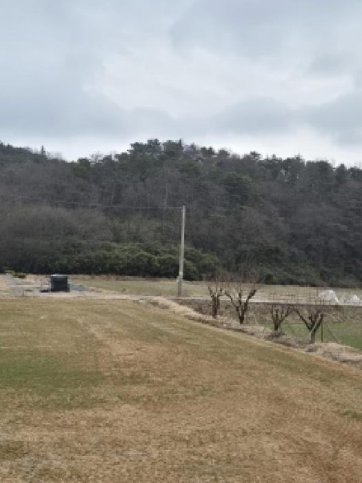 전남 장성군 진원면 전답 경매 물건 사진