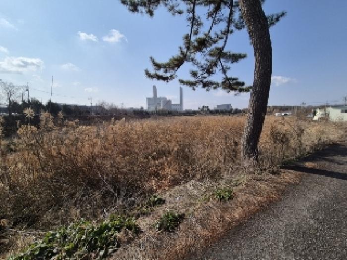 전남 나주시 산포면 임야 경매 물건 사진