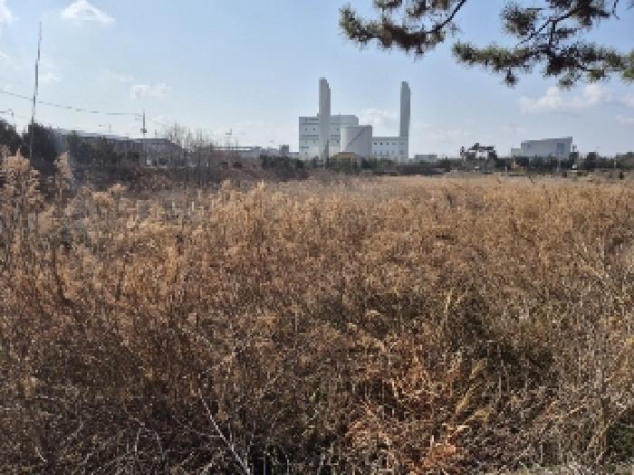 전남 나주시 산포면 임야 경매 물건 사진 6 · 2025타경905