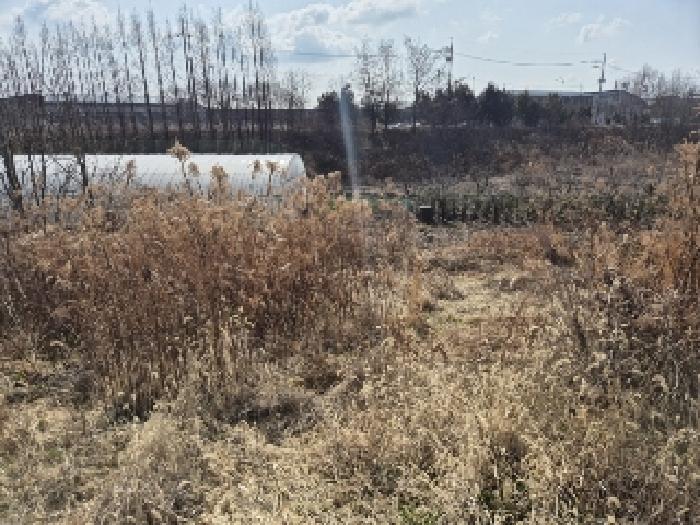 전남 나주시 산포면 임야 경매 물건 사진 5 · 2025타경905