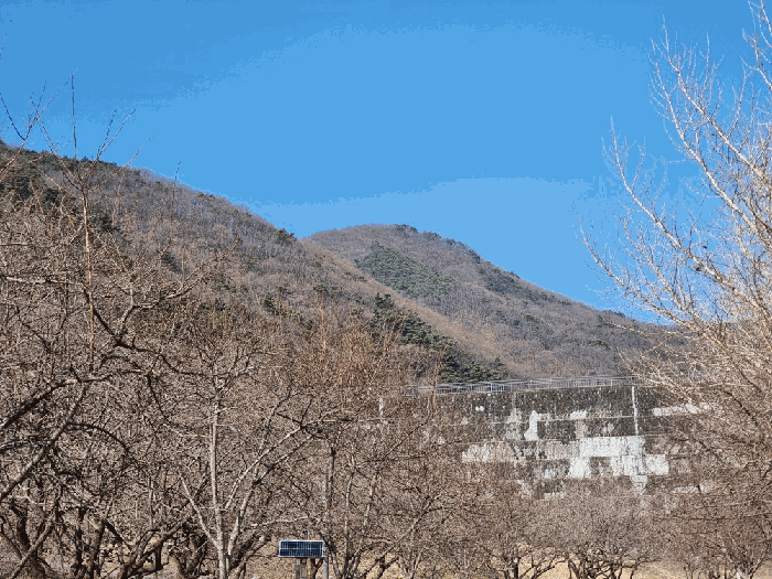 광주광역시 동구 용연동 산298 임야 경매 물건 사진