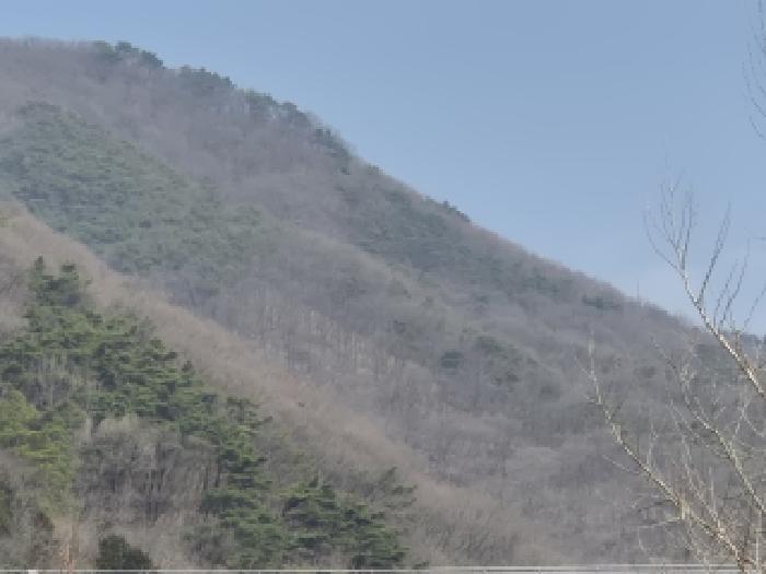 광주 동구 용연동 임야 경매 물건 사진 2 · 2026타경2120