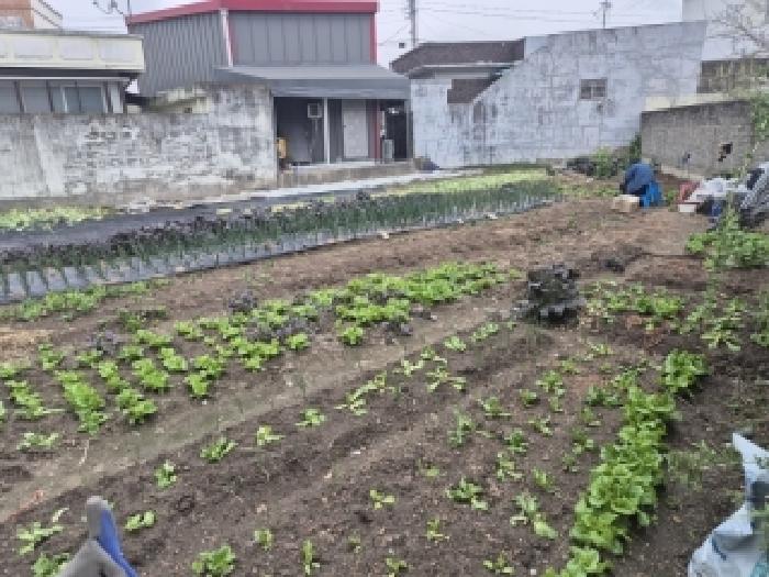 광주 광산구 도산동 전답 경매 물건 사진