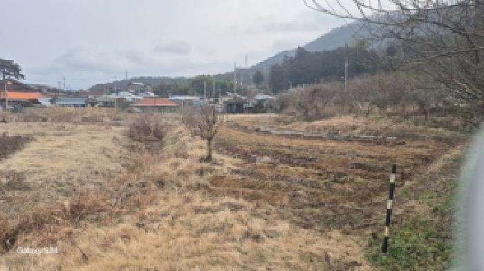 광주 남구 양과동 전답 경매 물건 사진 2 · 2026타경30050