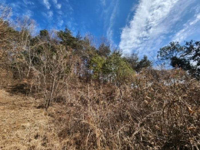 전남 곡성군 석곡면 전 경매 물건 사진
