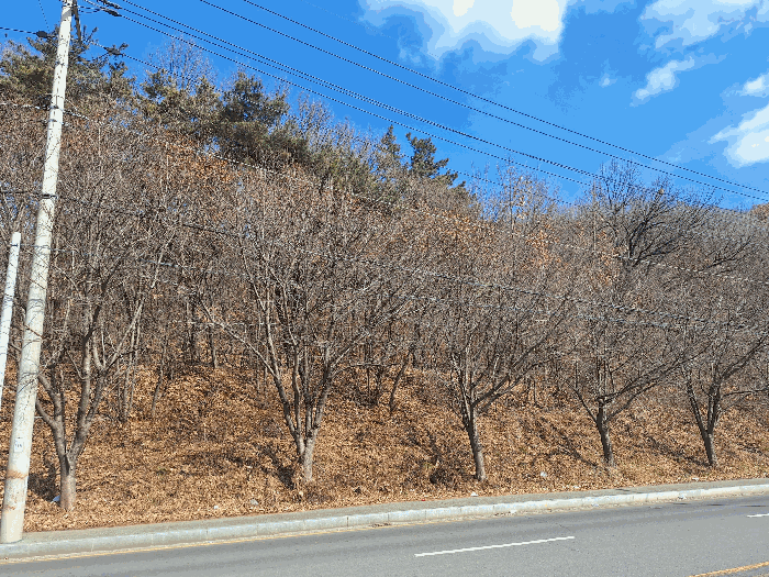 광주 남구 임암동 임야 경매 물건 사진 5 · 2026타경30207