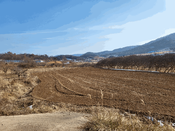 전남 영광군 영광읍 전답 경매 물건 사진 5 · 2026타경30281