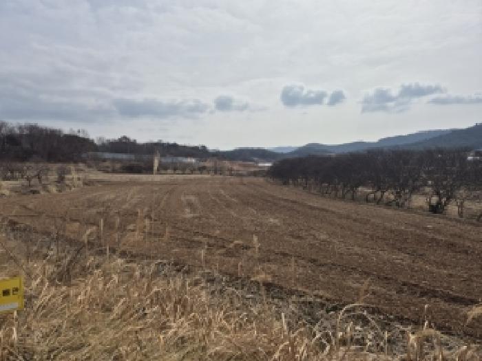 전남 영광군 영광읍 전답 경매 물건 사진 4 · 2026타경30281