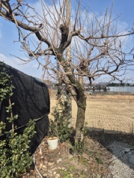 전남 영광군 묘량면 대지 경매 물건 사진 4 · 2026타경30282