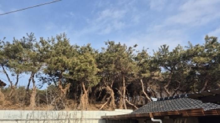 전남 나주시 부덕동 과수원 경매 물건 사진