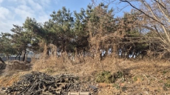 전남 나주시 부덕동 과수원 경매 물건 사진 4 · 2026타경30328