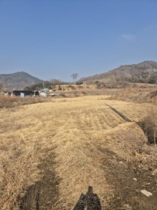 광주 광산구 송치동 답 경매 물건 사진
