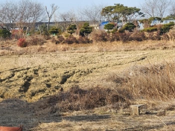 전남 담양군 대전면 전답 경매 물건 사진 2 · 2026타경30376
