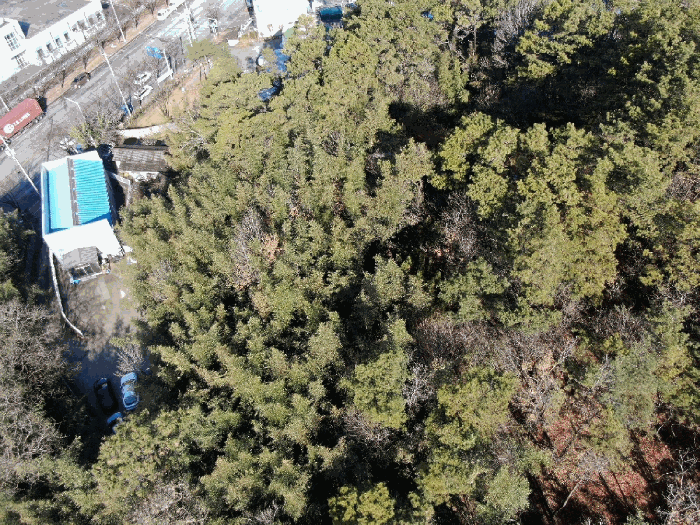 광주 북구 월출동 임야 경매 물건 사진 6 · 2026타경30483