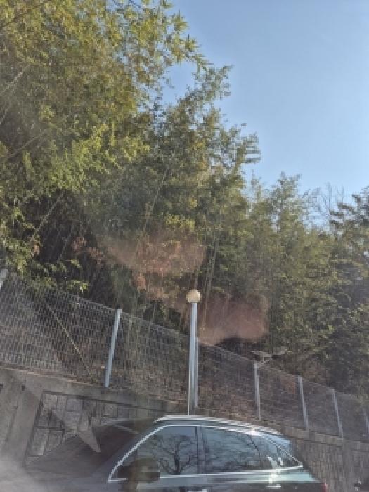 광주 북구 월출동 임야 경매 물건 사진