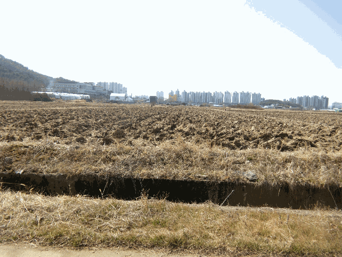 광주 북구 지야동 답 경매 물건 사진 5 · 2026타경30489