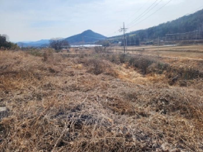 전남 담양군 월산면 도로 경매 물건 사진 3 · 2026타경30508