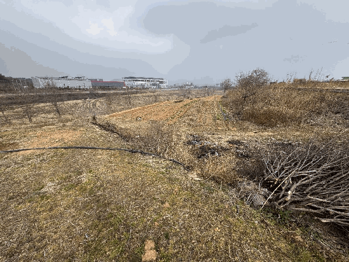 광주 광산구 요기동 임야 경매 물건 사진 5 · 2026타경30583