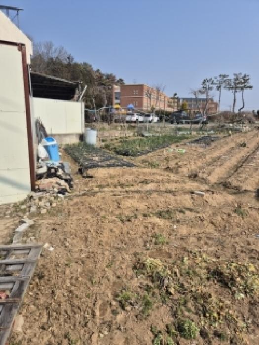 광주 광산구 도덕동 전답 경매 물건 사진
