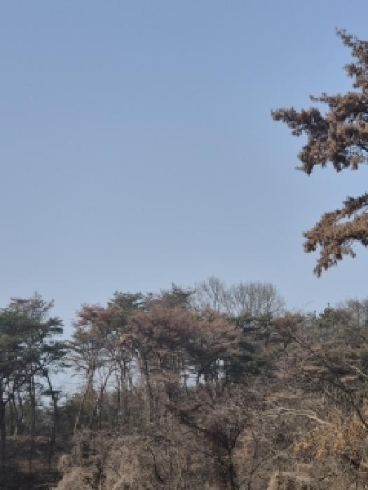 광주 광산구 도덕동 전답 경매 물건 사진 5 · 2026타경30610