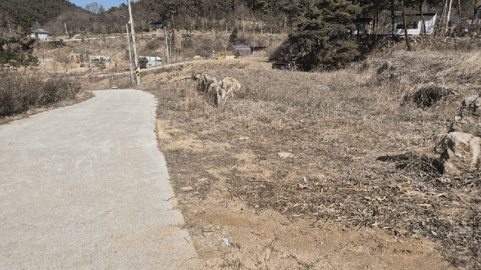 전남광주통합특별시 화순군 도암면 천태리 산113-8 대지,임야,전답 경매 물건 사진