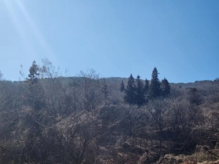 전남 담양군 월산면 답 경매 물건 사진