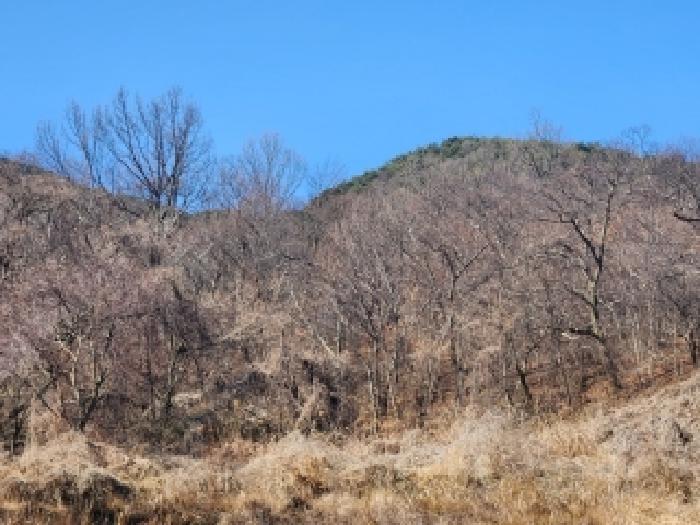 전남 담양군 월산면 답 경매 물건 사진 3 · 2026타경30658