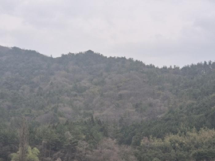 전남 나주시 봉황면 임야 경매 물건 사진 3 · 2026타경30714