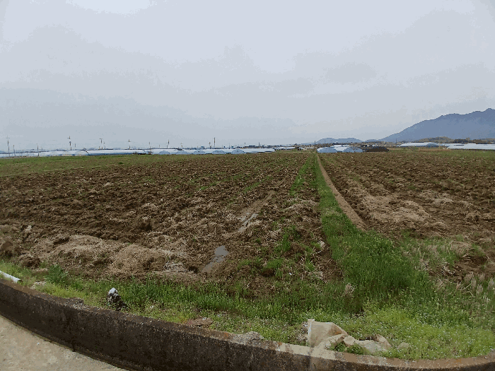 전남 담양군 대전면 전답 경매 물건 사진 5 · 2026타경3072