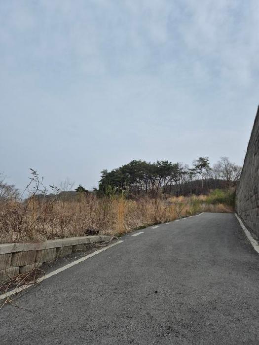 장성군 삼서면 임야 경매 물건 사진