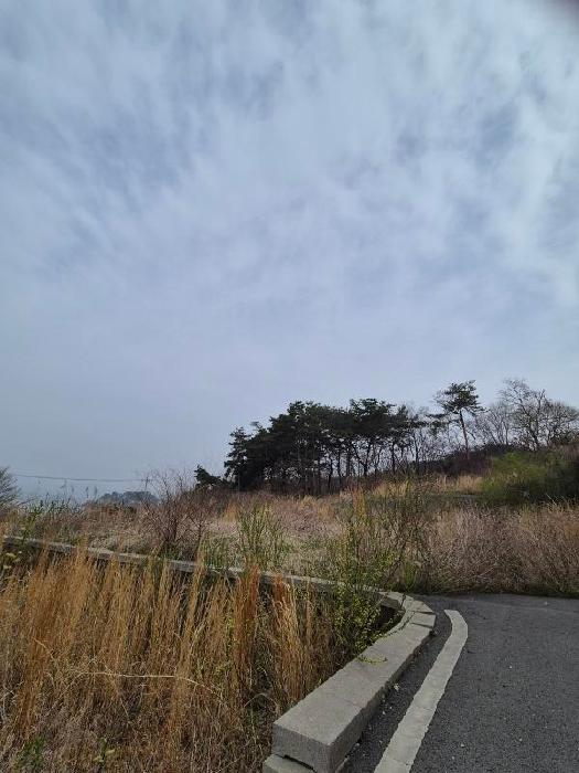장성군 삼서면 임야 경매 물건 사진 3 · 2026타경30729