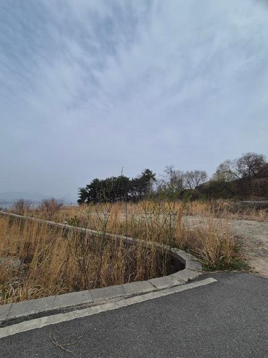 장성군 삼서면 임야 경매 물건 사진 4 · 2026타경30729