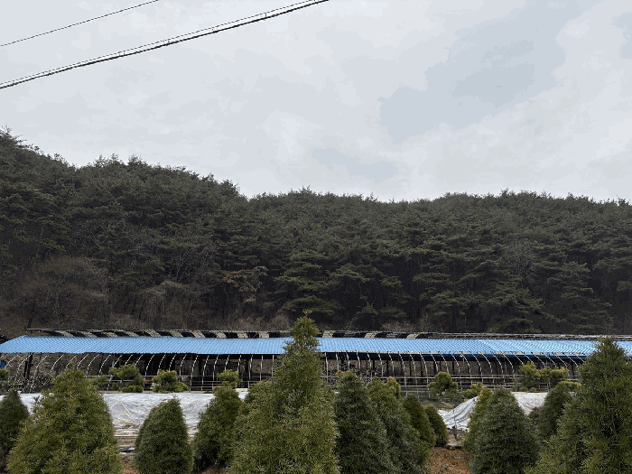 전남 화순군 백아면 임야 경매 물건 사진 6 · 2026타경30777