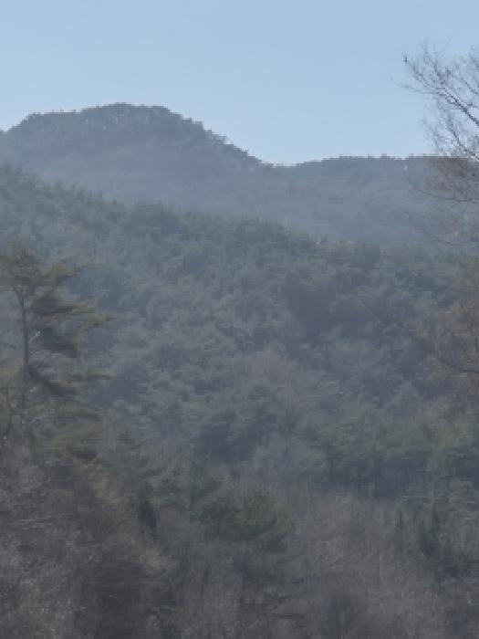 전남 화순군 백아면 임야 경매 물건 사진