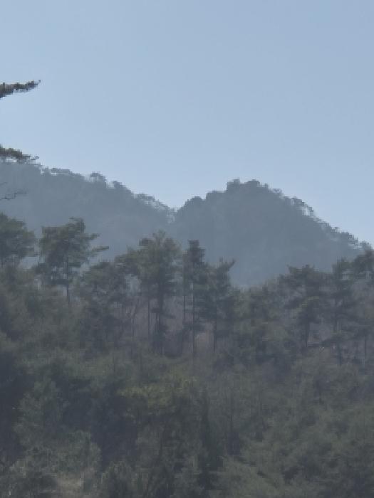 전남 화순군 백아면 임야 경매 물건 사진 2 · 2026타경30777