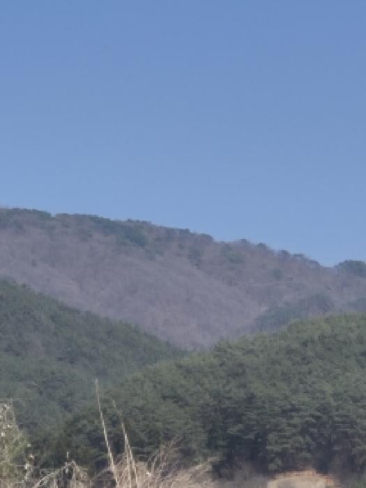 전남 화순군 백아면 임야 경매 물건 사진 3 · 2026타경30777