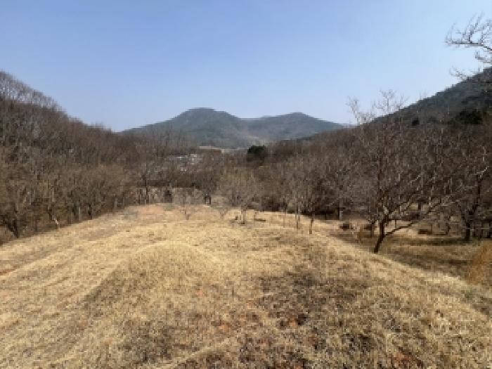 전남 담양군 대덕면 임야 경매 물건 사진