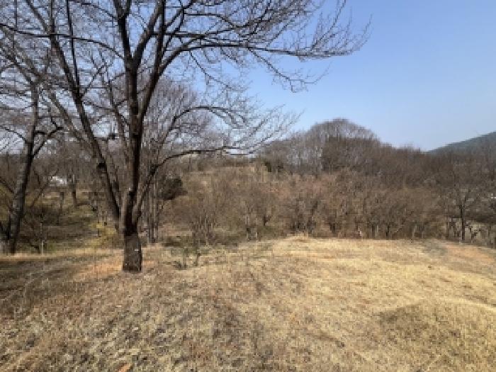 전남 담양군 대덕면 임야 경매 물건 사진 2 · 2026타경30811