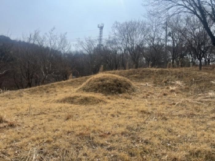 전남 담양군 대덕면 임야 경매 물건 사진 3 · 2026타경30811